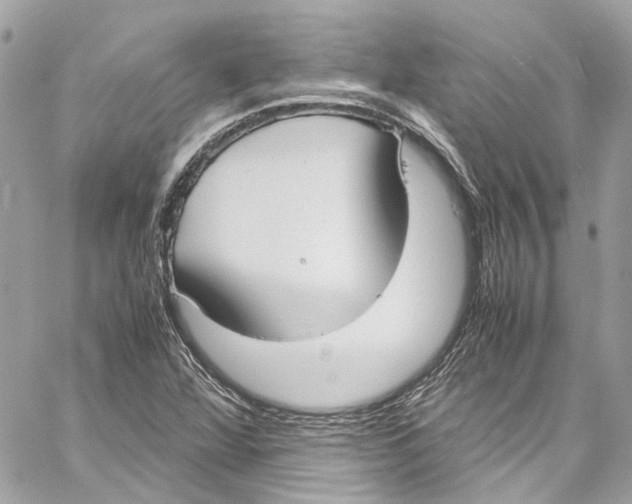 X0000059851360200511181528