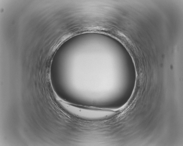 X0000059851361200511181528