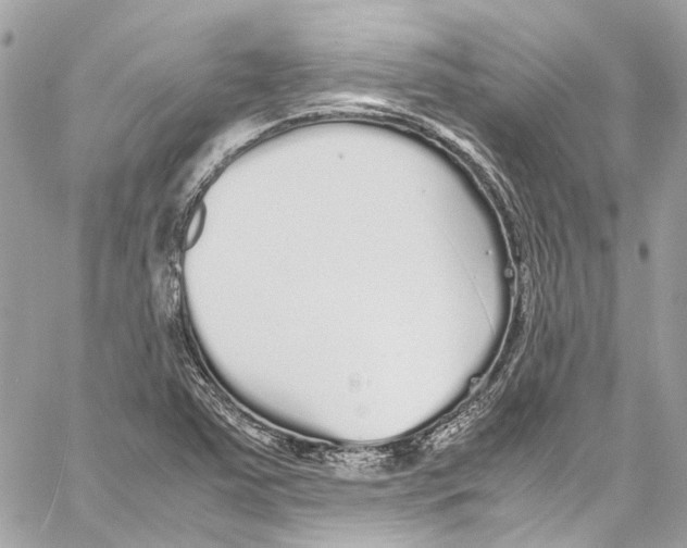 X0000059851363200511181528