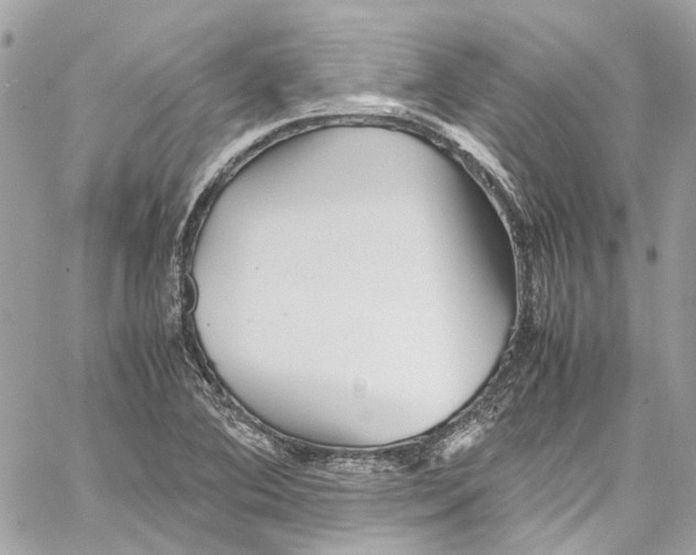 X0000059851364200511181528