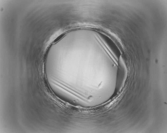 X0000059851365200511181528