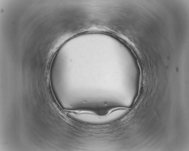 X0000059851367200511181528