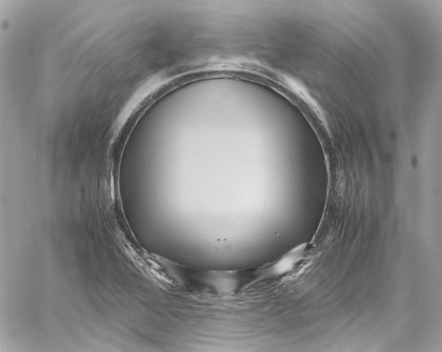 X0000059851368200511181527