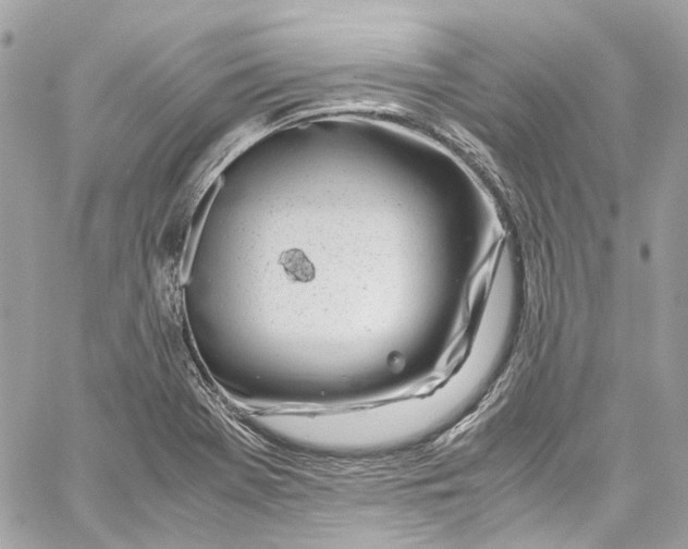 X0000059851369200511181527