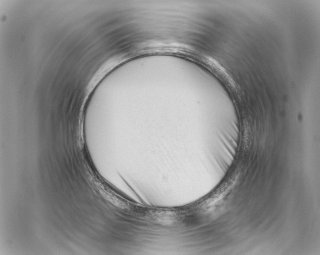 X0000059851370200511181527