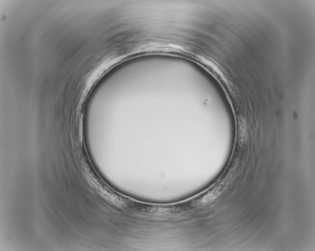 X0000059851371200511181527