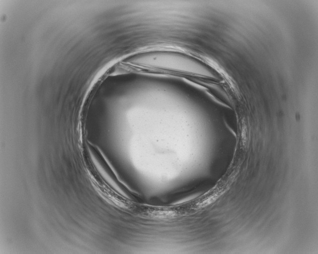 X0000059851372200511181527