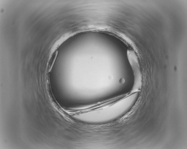 X0000059851373200511181527