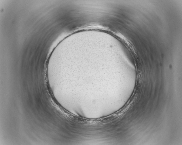 X0000059851374200511181527