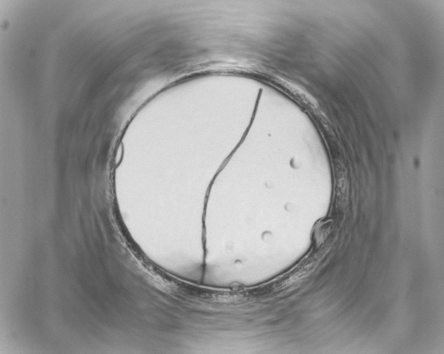 X0000059851375200511181527