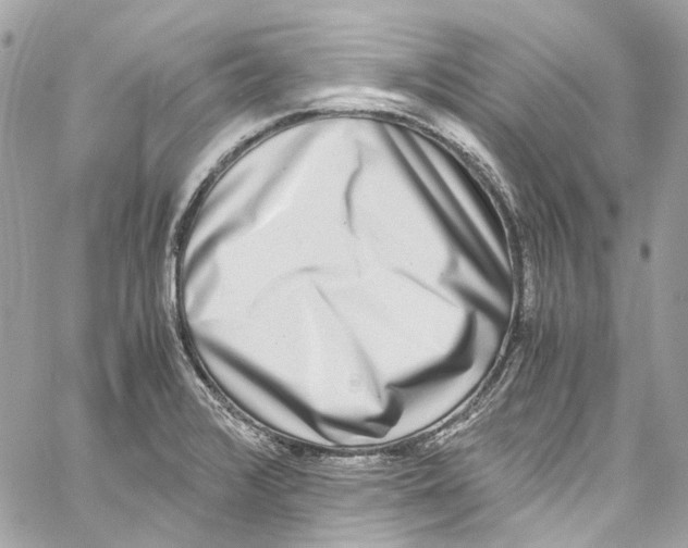 X0000059851376200511181527