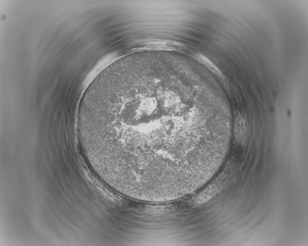 X0000059851378200511181527