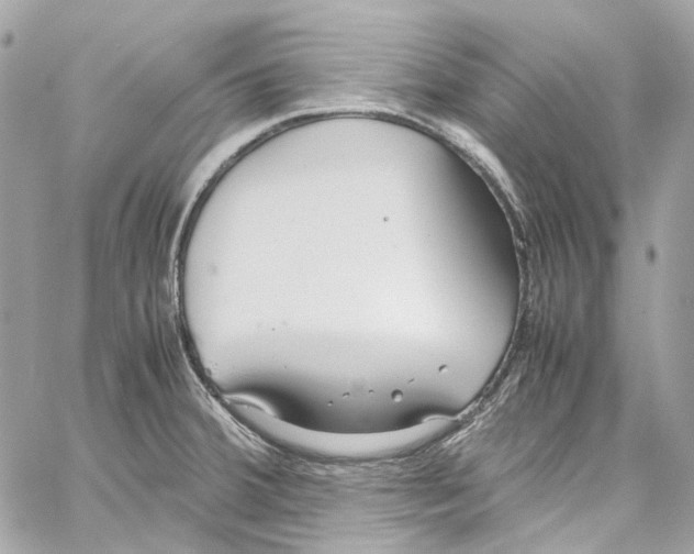 X0000059851380200511181527