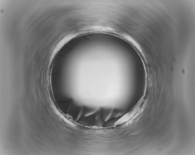 X0000059851381200511181527