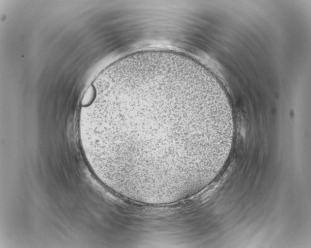 X0000059851382200511181527