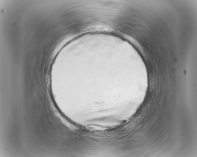 X0000059851383200511181527