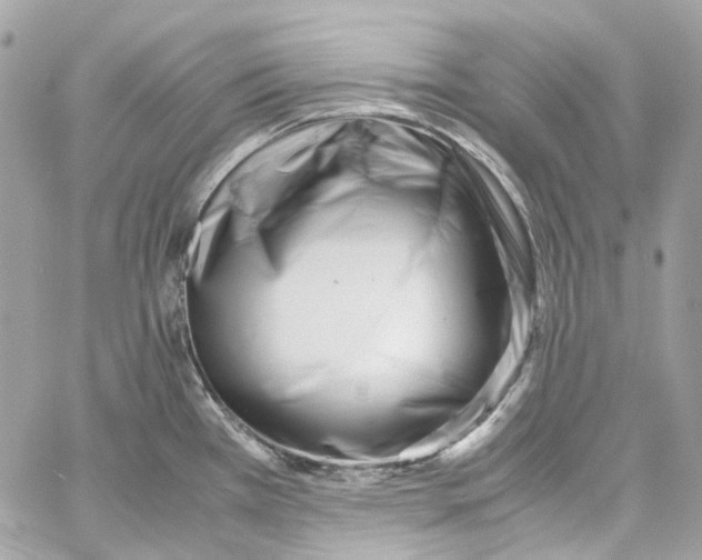 X0000059851385200511181527