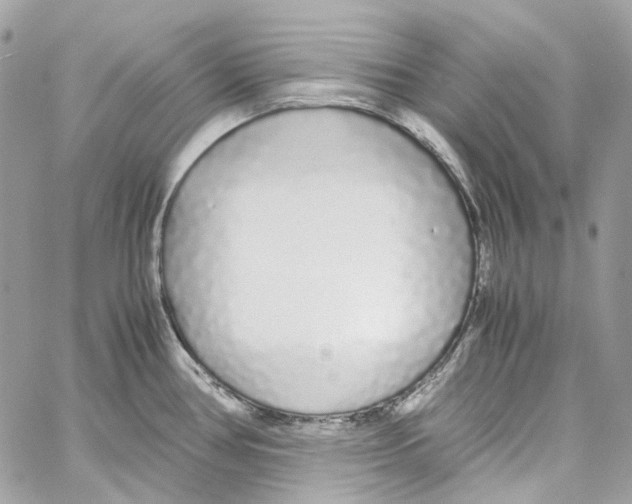 X0000059851386200511181527