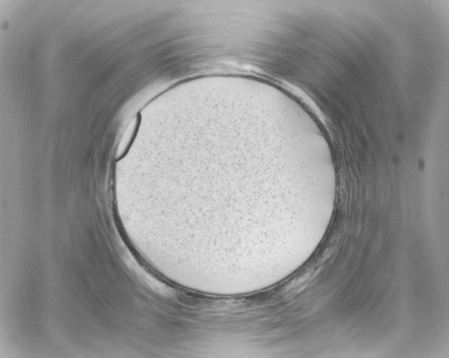 X0000059851387200511181527