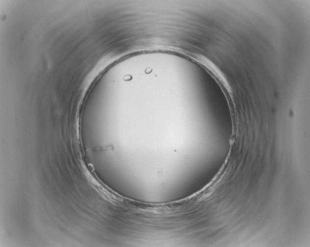 X0000059851388200511181527