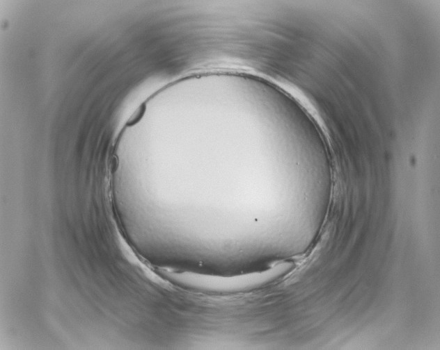 X0000059851390200511181527