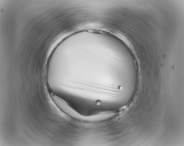 X0000059851392200511181527