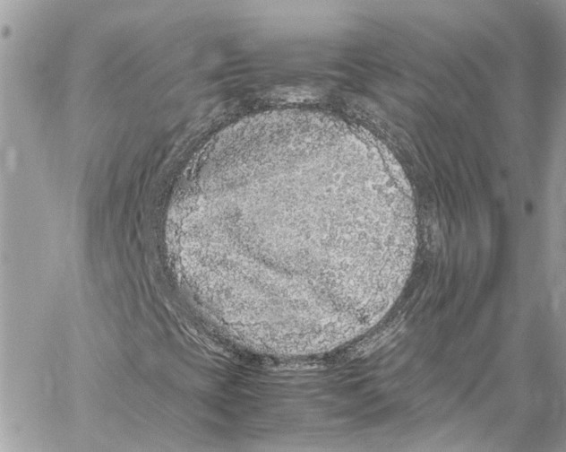 X0000059851393200511181526