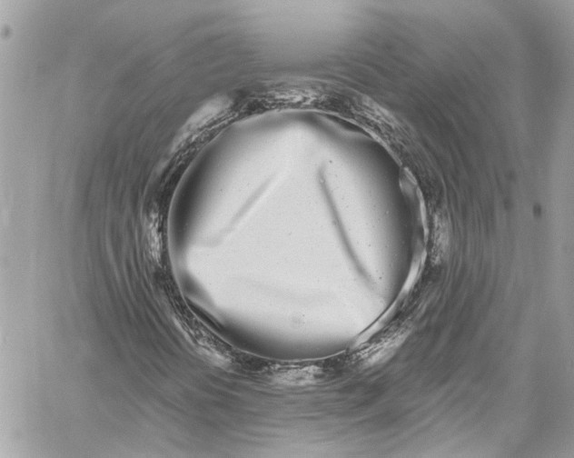 X0000059851394200511181526