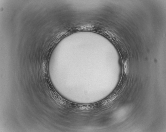 X0000059851395200511181526