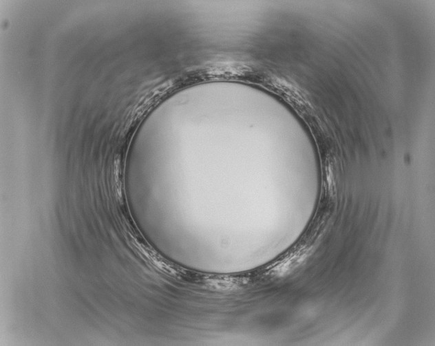 X0000059851396200511181526