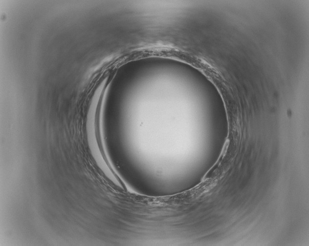 X0000059851398200511181526