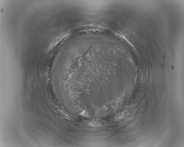 X0000059851399200511181526