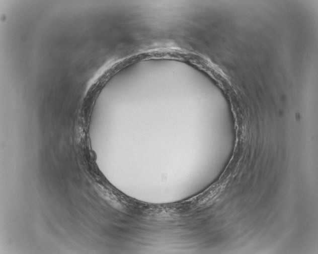 X0000059851400200511181526