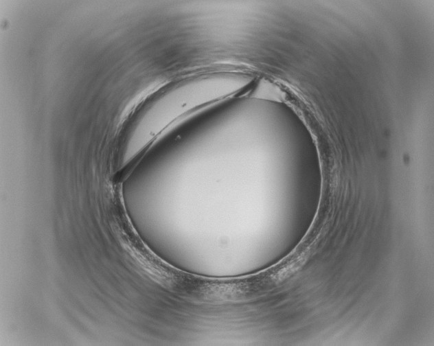 X0000059851402200511181526