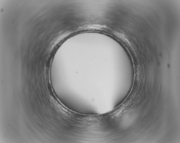 X0000059851404200511181527