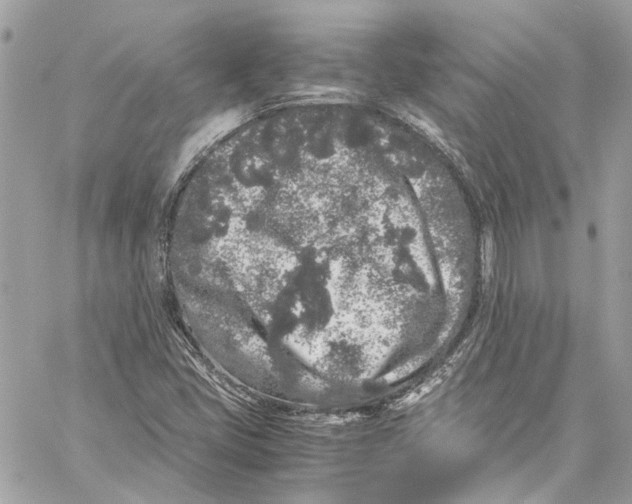 X0000059851405200511181527