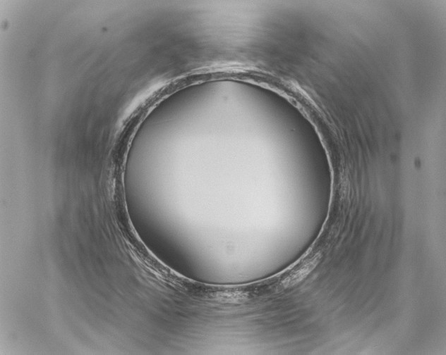 X0000059851406200511181527