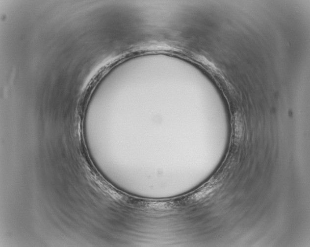 X0000059851408200511181527