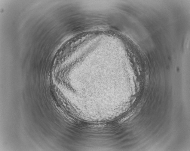 X0000059851409200511181527