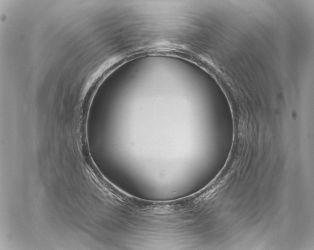 X0000059851410200511181527