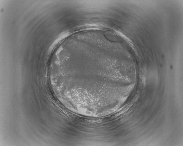 X0000059851411200511181527