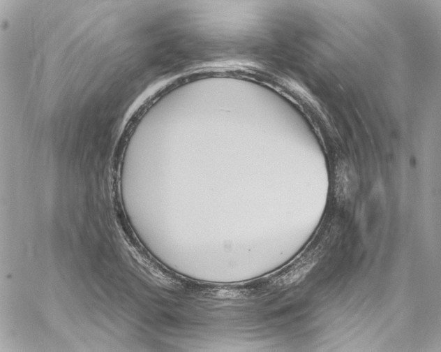 X0000059851412200511181527