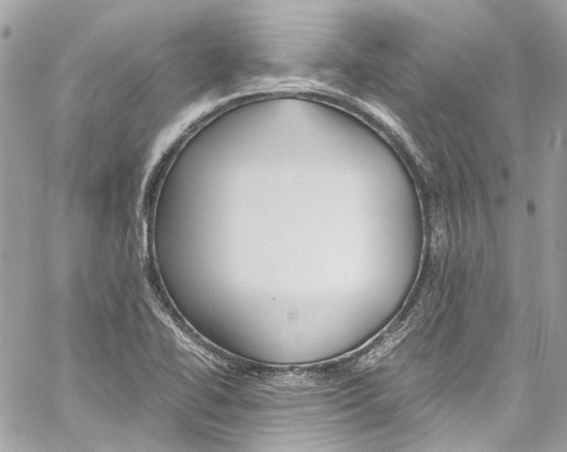 X0000059851414200511181527