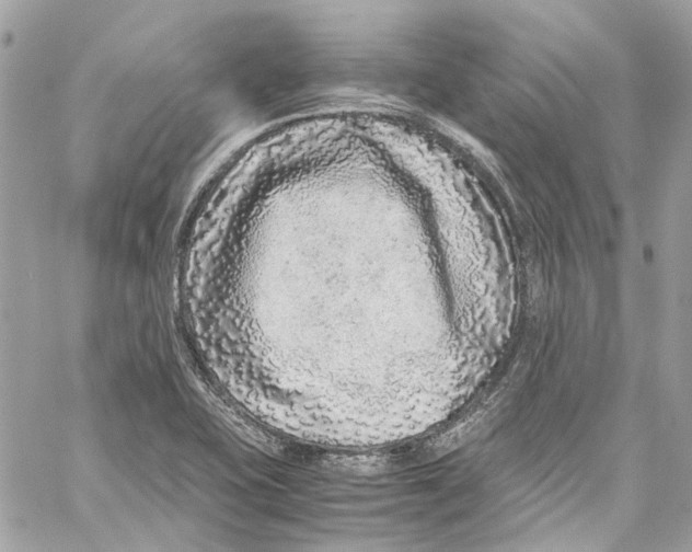 X0000059851415200511181527