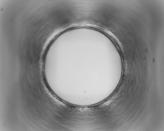 X0000059851416200511181527