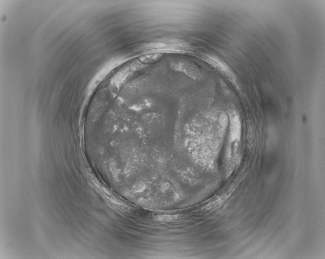 X0000059851419200511181527