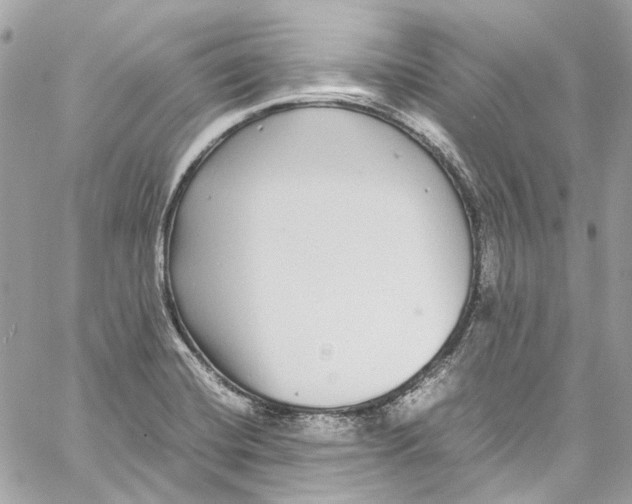 X0000059851420200511181527