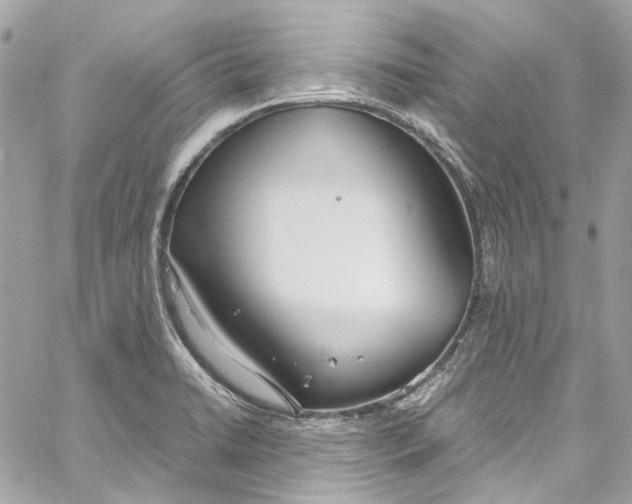 X0000059851422200511181527