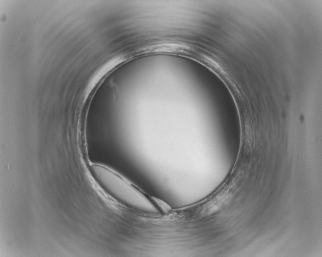 X0000059851426200511181527