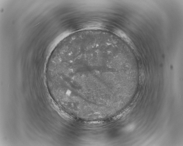 X0000059851427200511181527